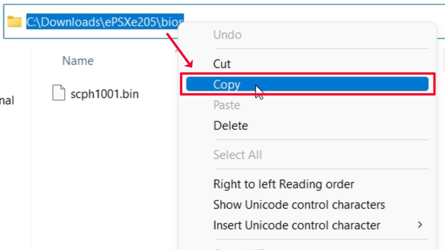 PSX BIOS/PS1 BIOS (scph1001.bin) Download ePSXe BIOS Setup